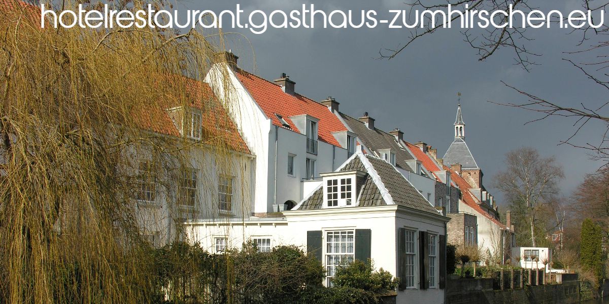 hotelrestaurant.gasthaus-zumhirschen.eu